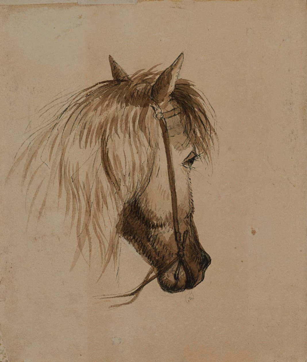 Lófej alkotó: Alfred Jacob Miller
