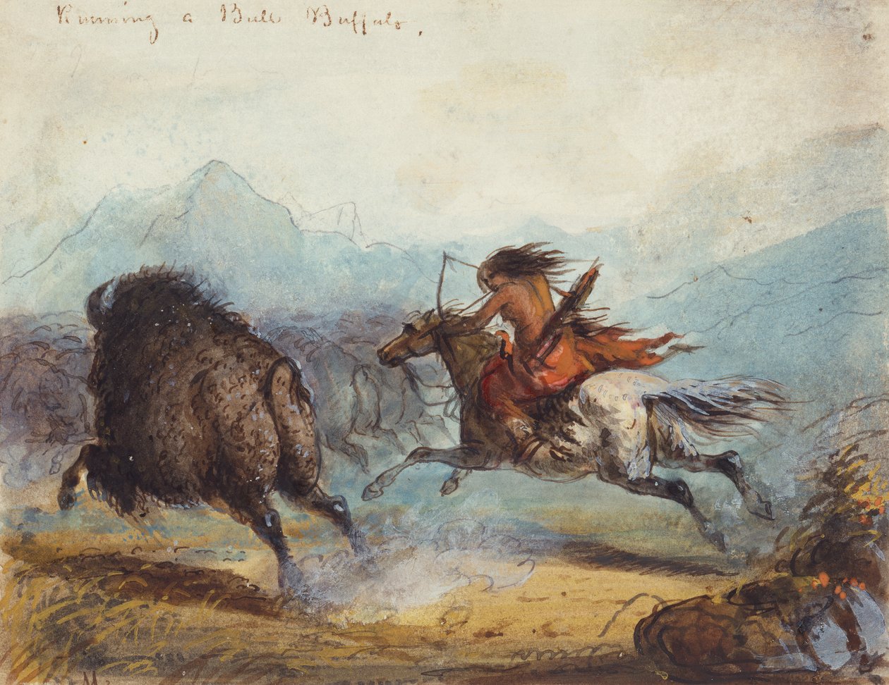Bivalyt futtató indiai nő, 1858-60 körül (akvarell papíron) alkotó: Alfred Jacob Miller