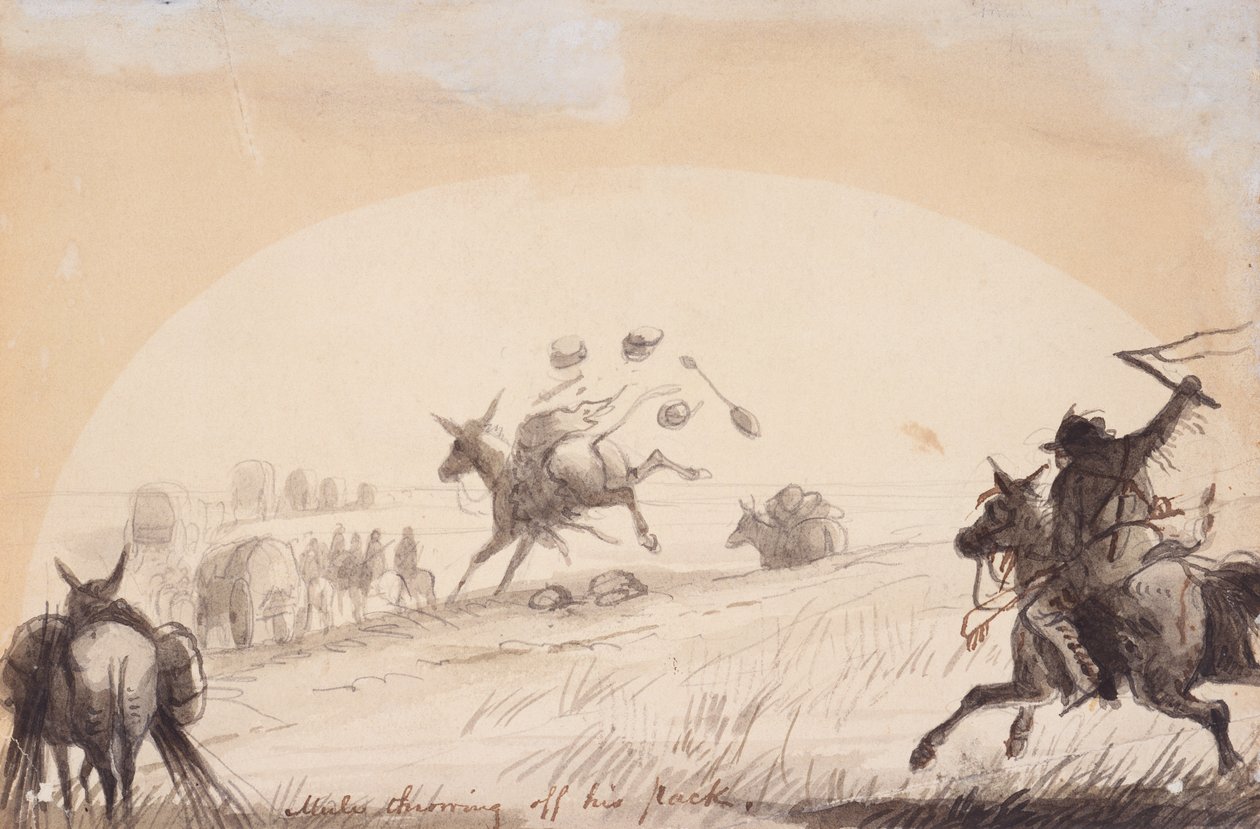 Öszvér kidobja a csomagját, 1837 körül (ceruza, toll és tinta, valamint papírra mosás) alkotó: Alfred Jacob Miller