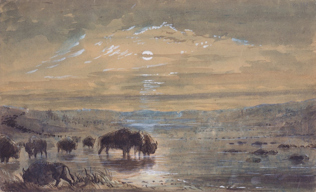 Éjszakai jelenet, Buffaloes on the Prairie, 1837 körül (akvarell, papír) alkotó: Alfred Jacob Miller