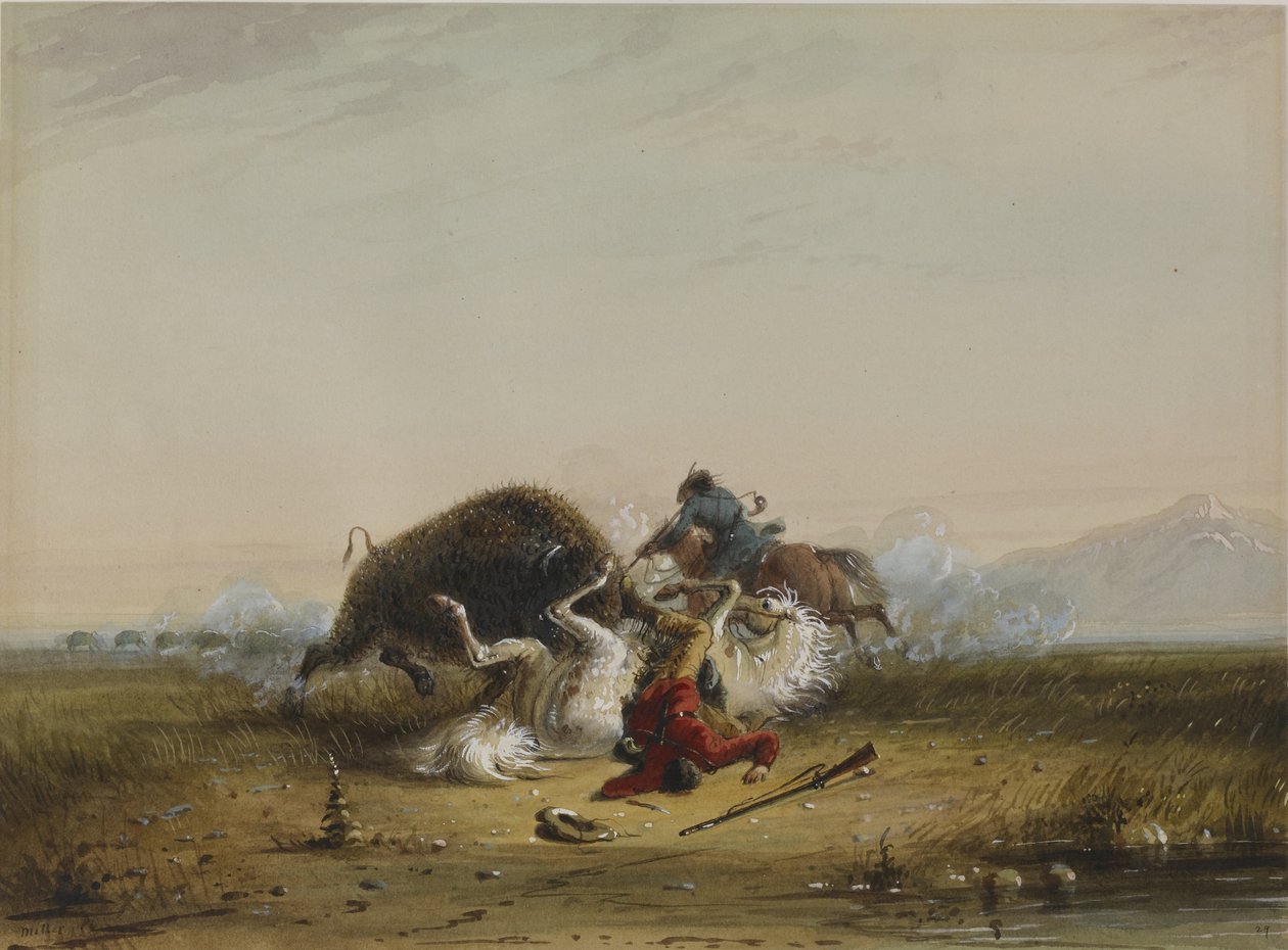 Pierre és a bölény alkotó: Alfred Jacob Miller