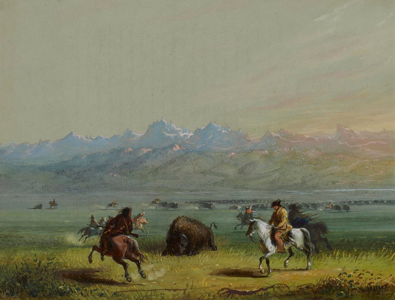 Sebesült bölény alkotó: Alfred Jacob Miller