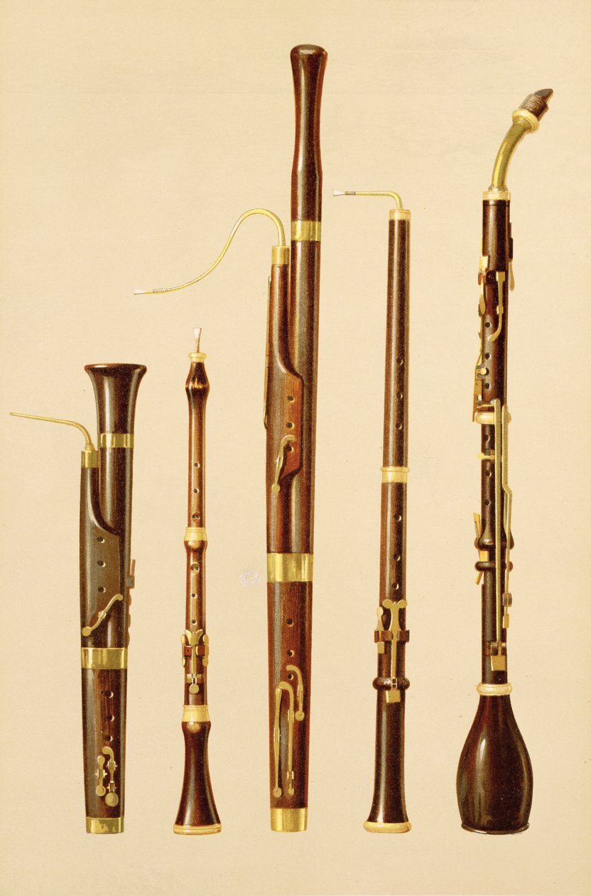 Egy dulcian, egy oboa, egy fagott, egy oboe da caccia és egy fagottkürt, a "Musical Instruments" (színes litográfia) című képen. alkotó: Alfred James Hipkins