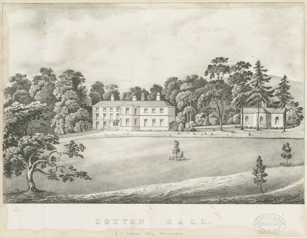 Cotton – Hall: litográfia, és [XIX. század] alkotó: Alfred Jolly Caldicott