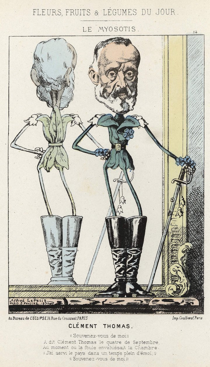 Le Myosotis: karikatúra Clément Thomasról - ill. 1871. 02. 03-tól a "A nap virágai, gyümölcsei és zöldségei" című részben alkotó: Alfred Le Petit