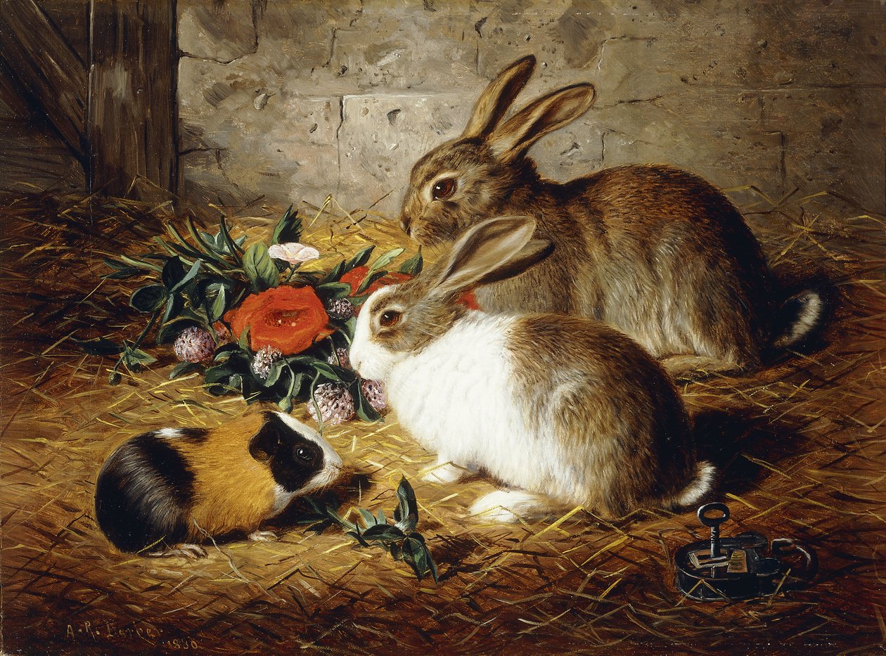 Megszökött: Két nyúl és tengerimalac, 1880 alkotó: Alfred R. Barber