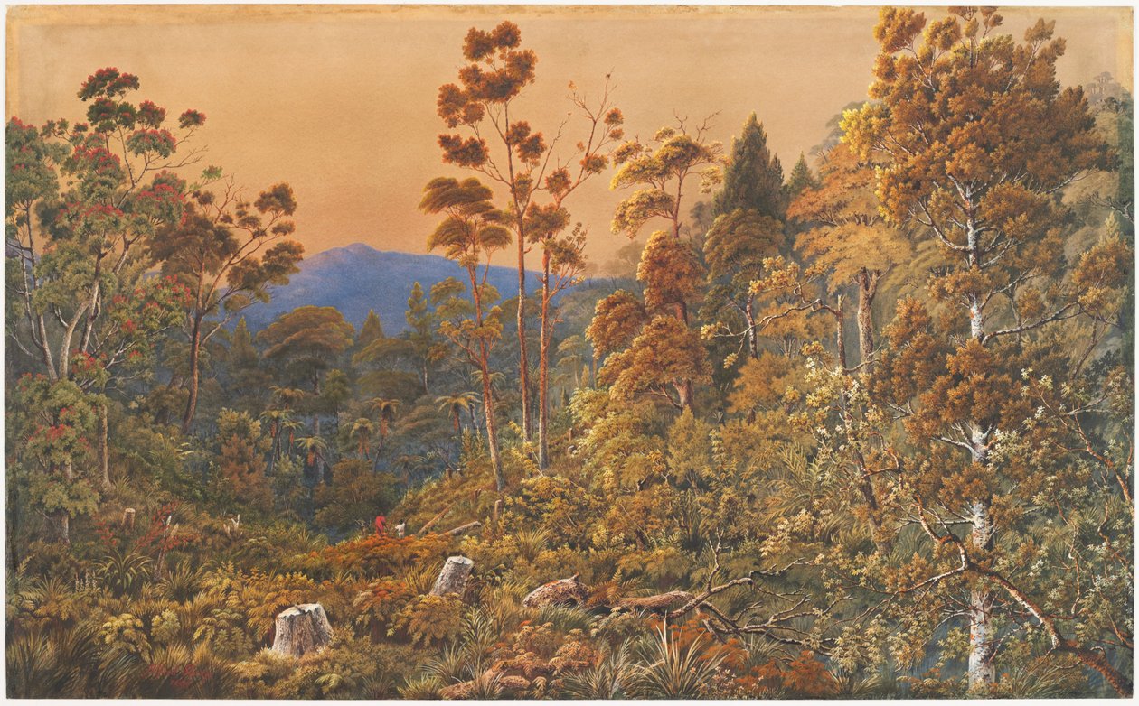 Aranyeste, Waiheke -sziget alkotó: Alfred Sharpe
