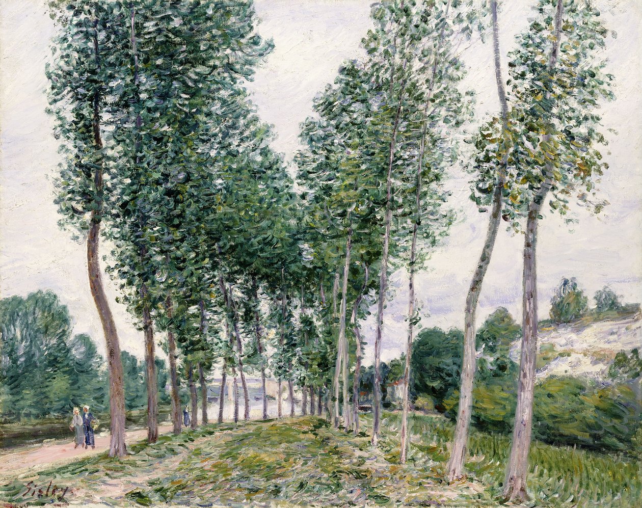 Nyárfák sikátora a Loing mentén, 1892 alkotó: Alfred Sisley