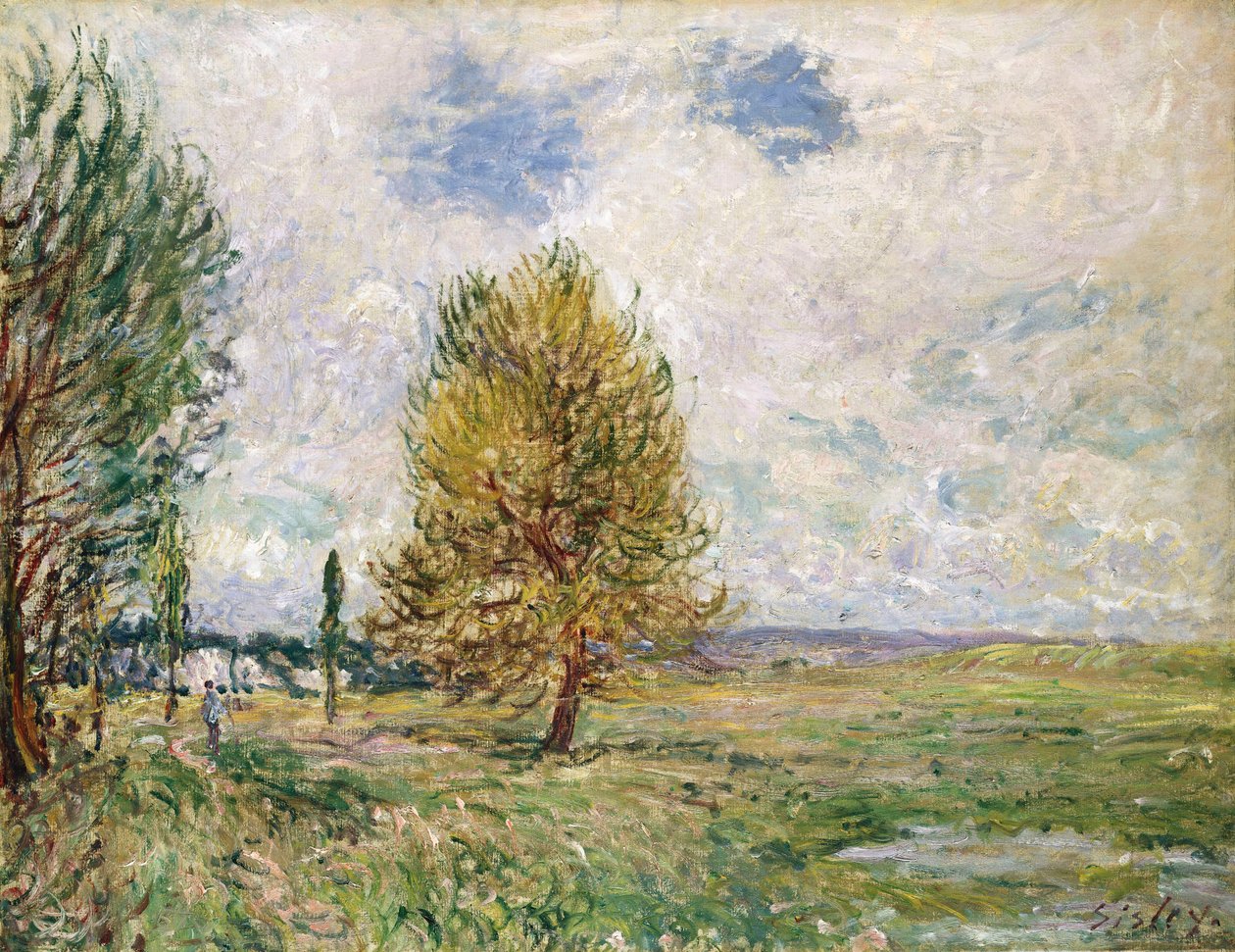 Veneux-Nadon síksága, 1881 alkotó: Alfred Sisley