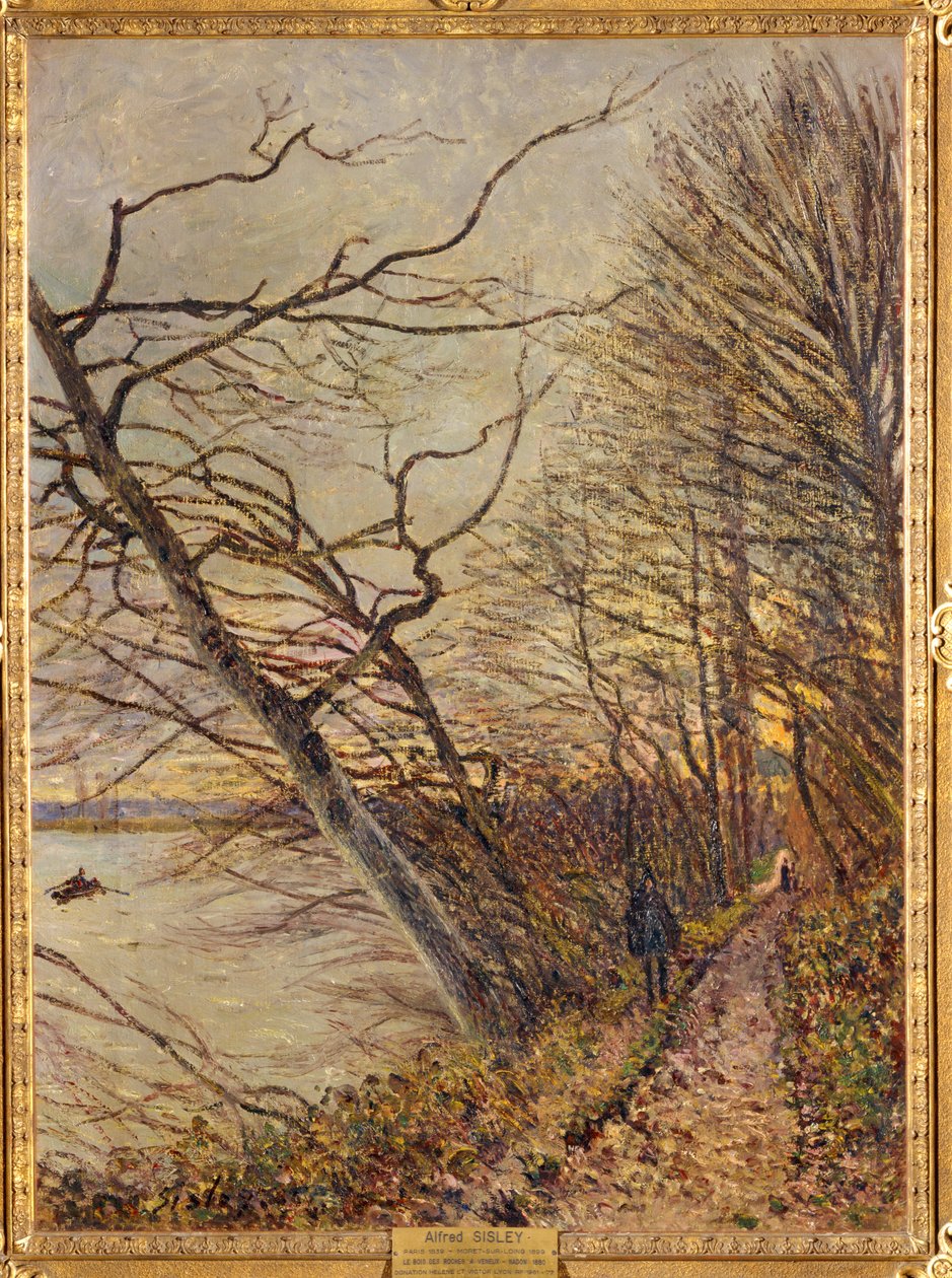 Le Bois des Roches, Veneux-Nadon ... alkotó: Alfred Sisley