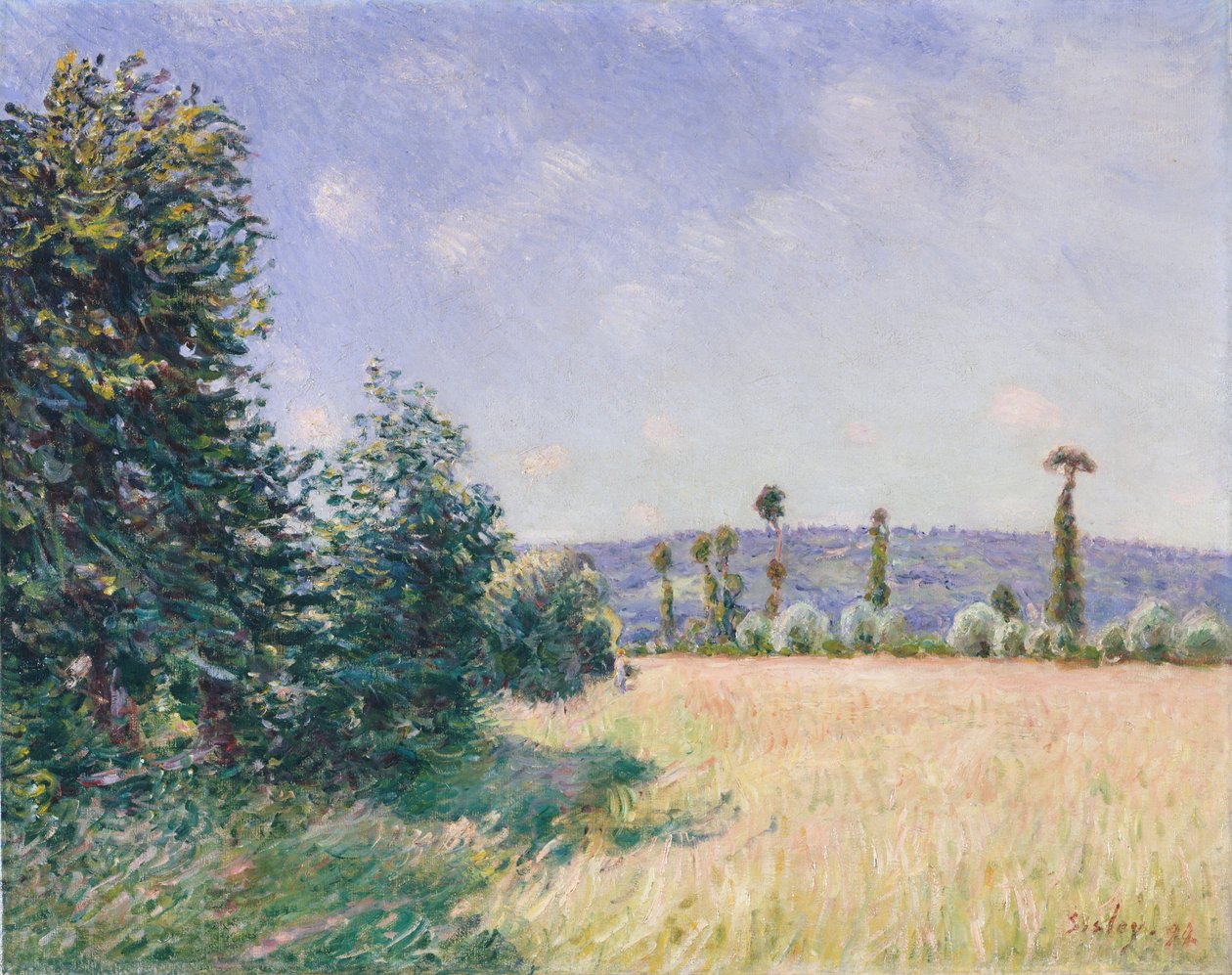 Sahurs Meadows reggel napsütésben, 1894. alkotó: Alfred Sisley