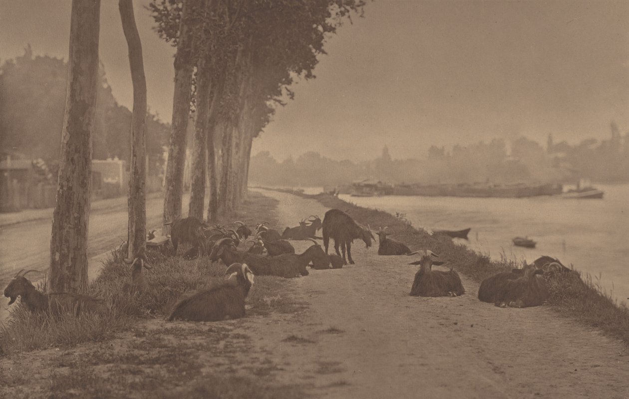 Dekoratív panel alkotó: Alfred Stieglitz
