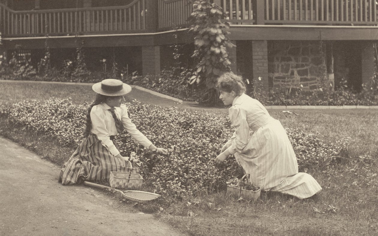 Egy virágágyás Oaklawnban alkotó: Alfred Stieglitz