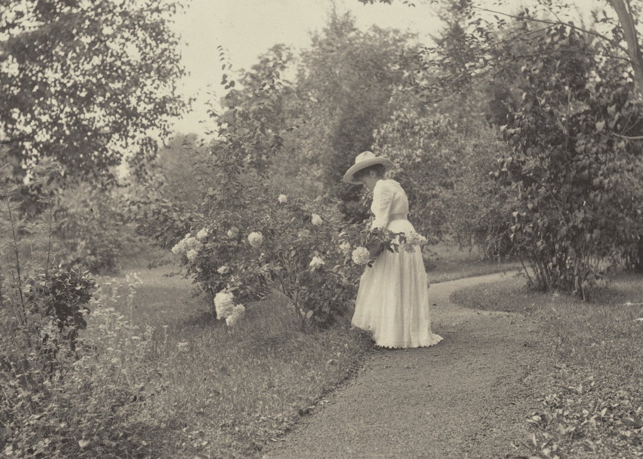 Az Oaklawnban alkotó: Alfred Stieglitz