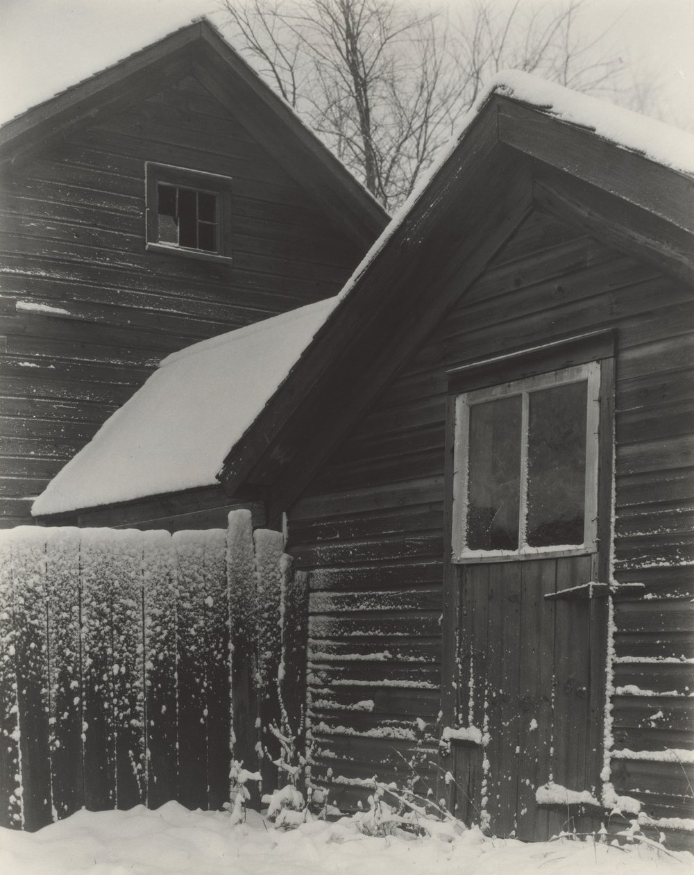 Gyerekek és hó alkotó: Alfred Stieglitz