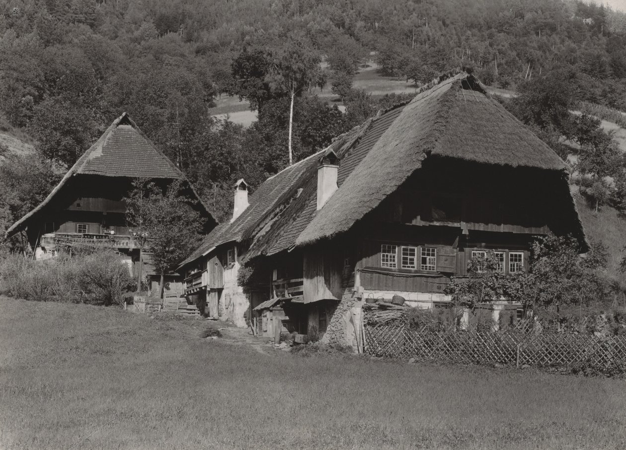 Fekete-erdei ház alkotó: Alfred Stieglitz