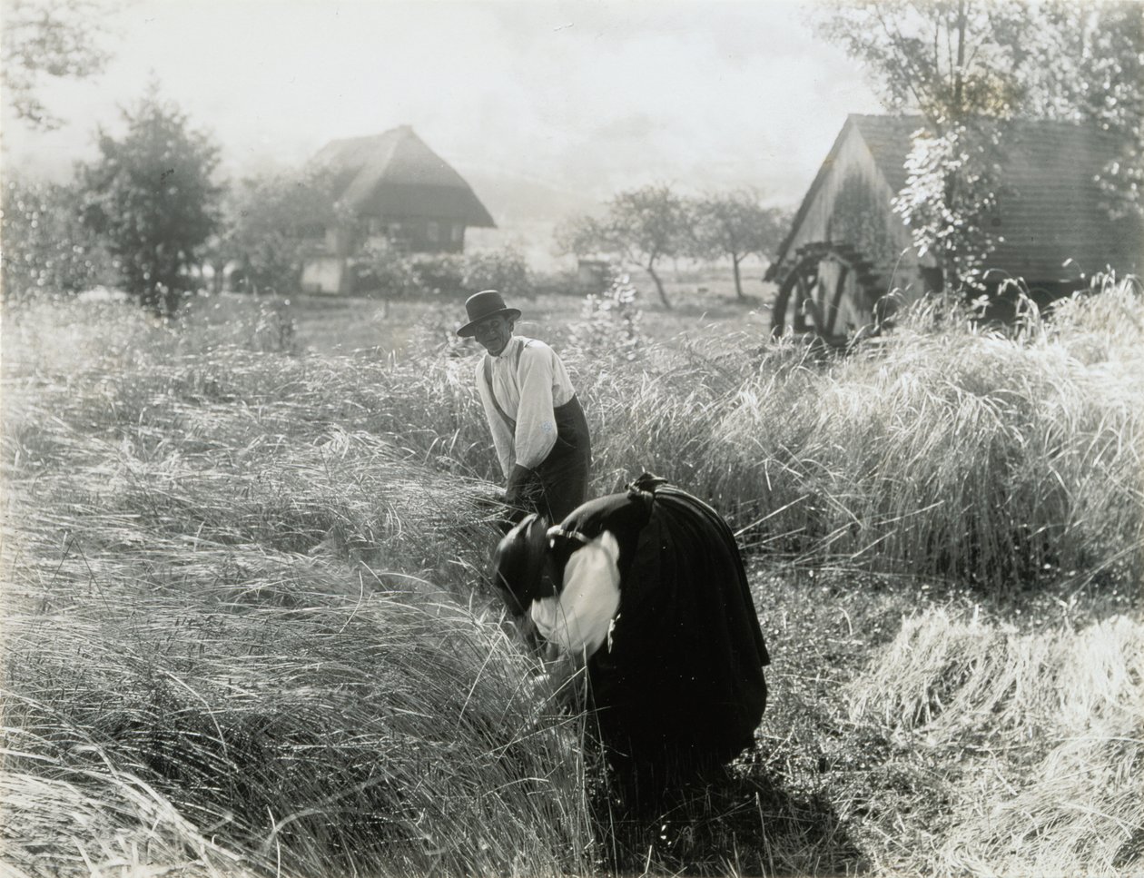Kora reggel alkotó: Alfred Stieglitz