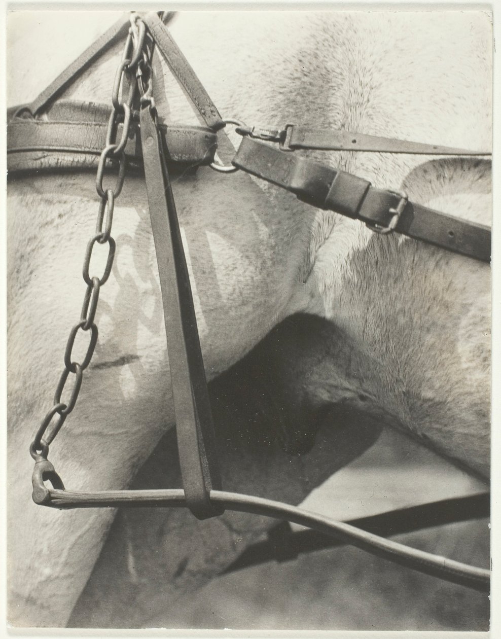 Egyenértékű, spirituális Amerika alkotó: Alfred Stieglitz