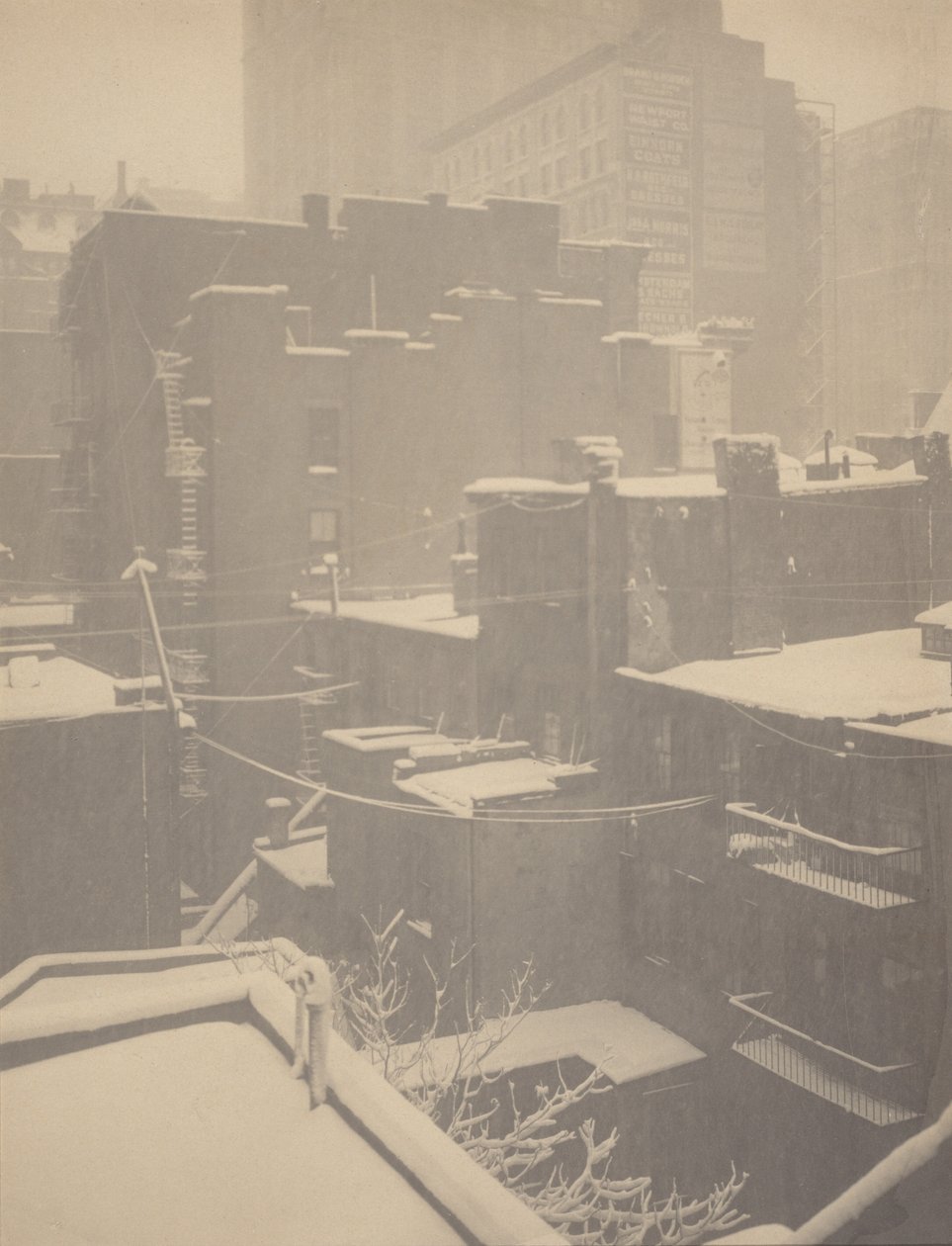 A hátsó ablakból - 291 alkotó: Alfred Stieglitz