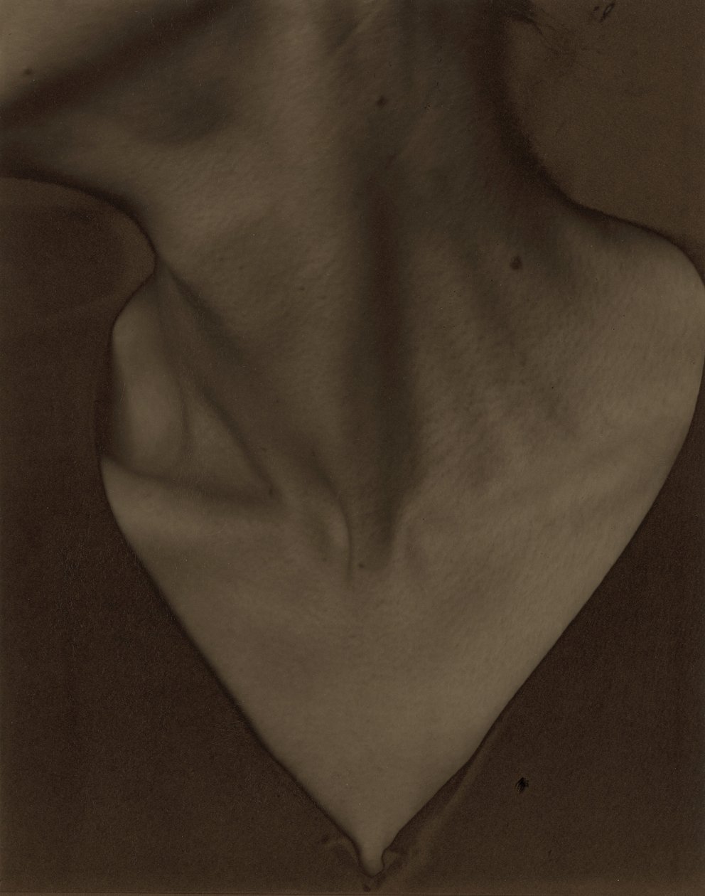 Georgia O’Keeffe – Nyak alkotó: Alfred Stieglitz