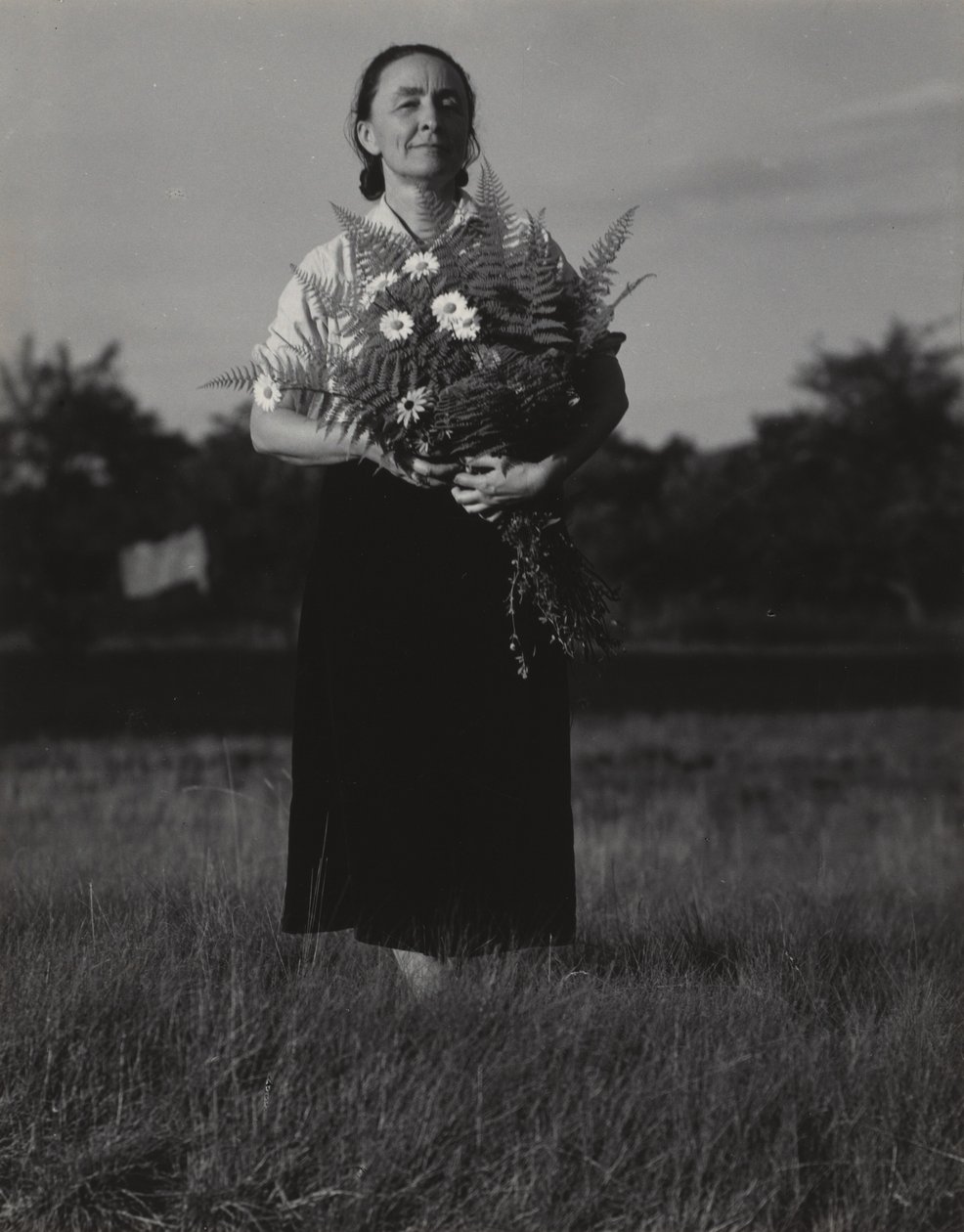 Georgia O’Keeffe alkotó: Alfred Stieglitz
