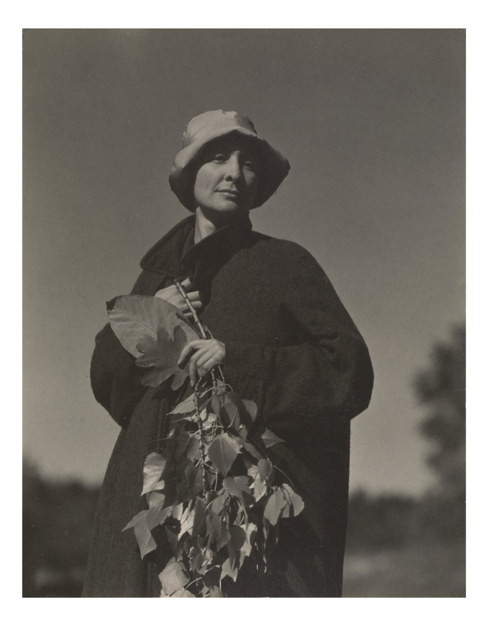 Georgia O’Keeffe alkotó: Alfred Stieglitz