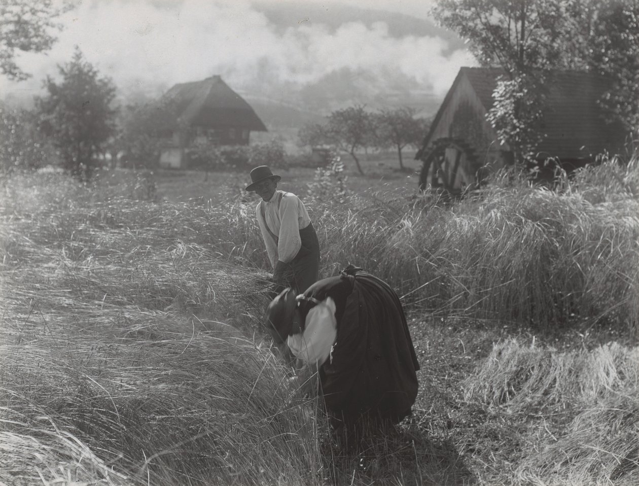 Aratás, Fekete-erdő alkotó: Alfred Stieglitz