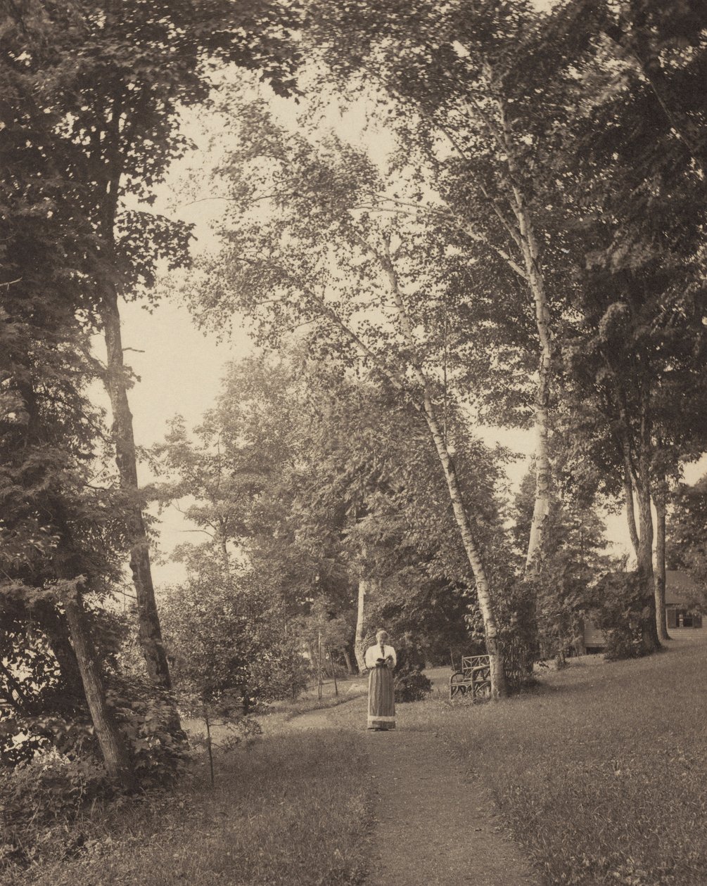 Hedwig ösvénye, Oaklawn, George-tó alkotó: Alfred Stieglitz
