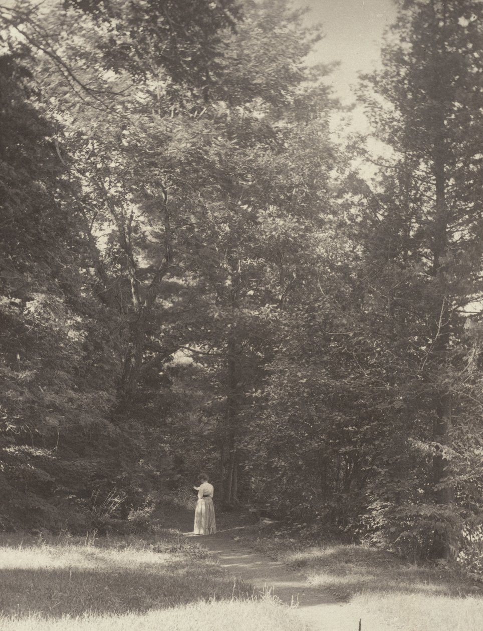 „Hedwigsweg” II, George-tó alkotó: Alfred Stieglitz