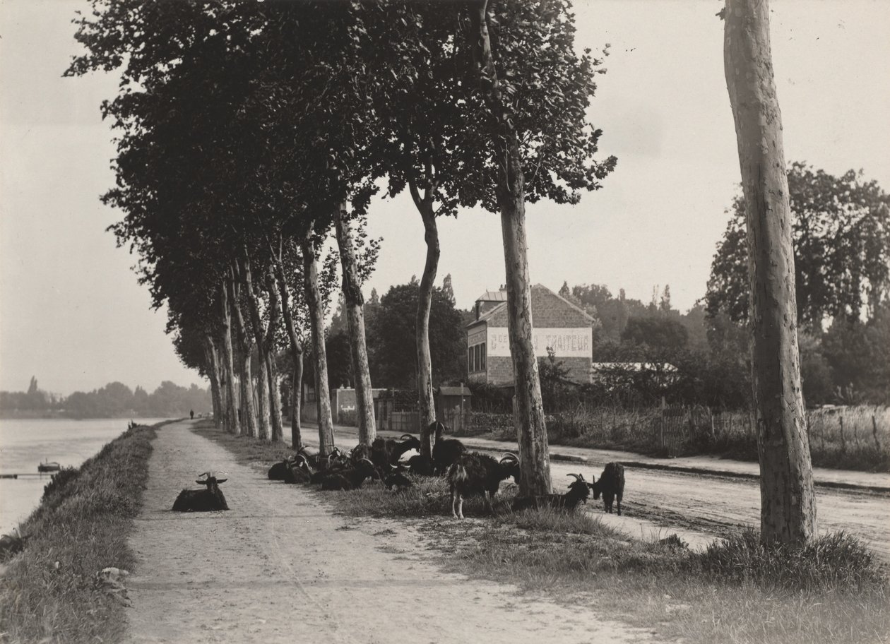Hazafelé alkotó: Alfred Stieglitz
