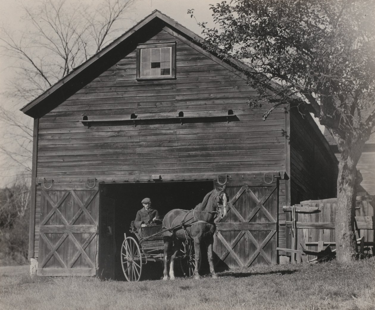 Ló és hintó alkotó: Alfred Stieglitz