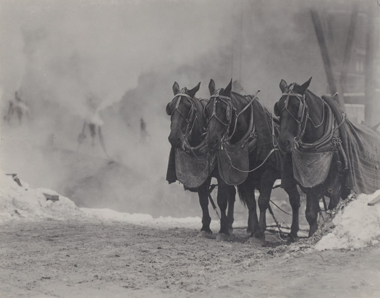 Lovak, New York alkotó: Alfred Stieglitz