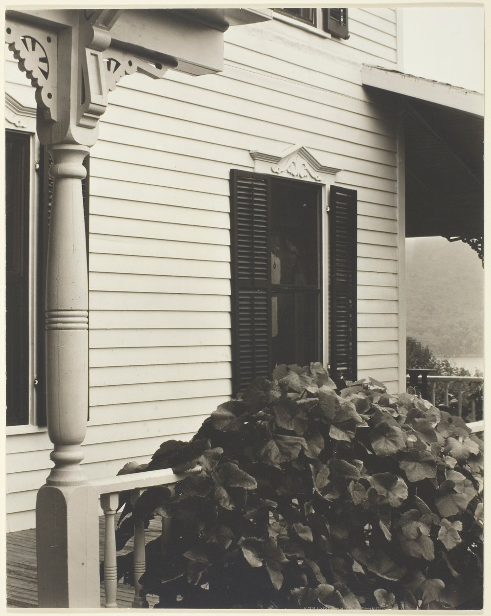 Ház és szőlőlevelek alkotó: Alfred Stieglitz