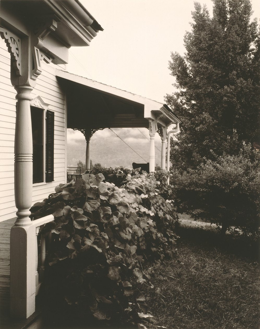 Ház és szőlőlevelek alkotó: Alfred Stieglitz