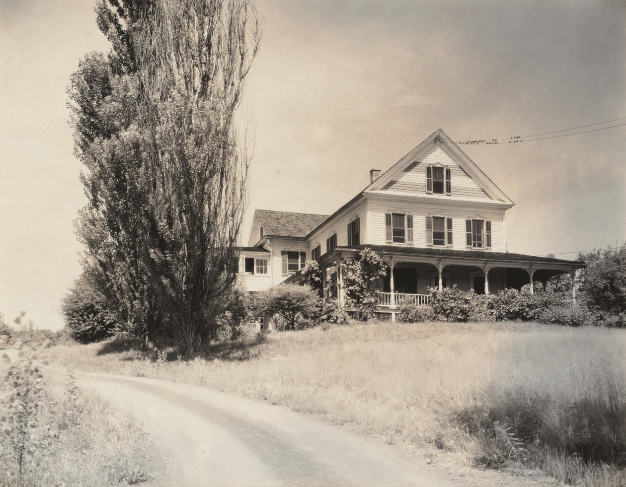 House és Poplars, Lake George alkotó: Alfred Stieglitz