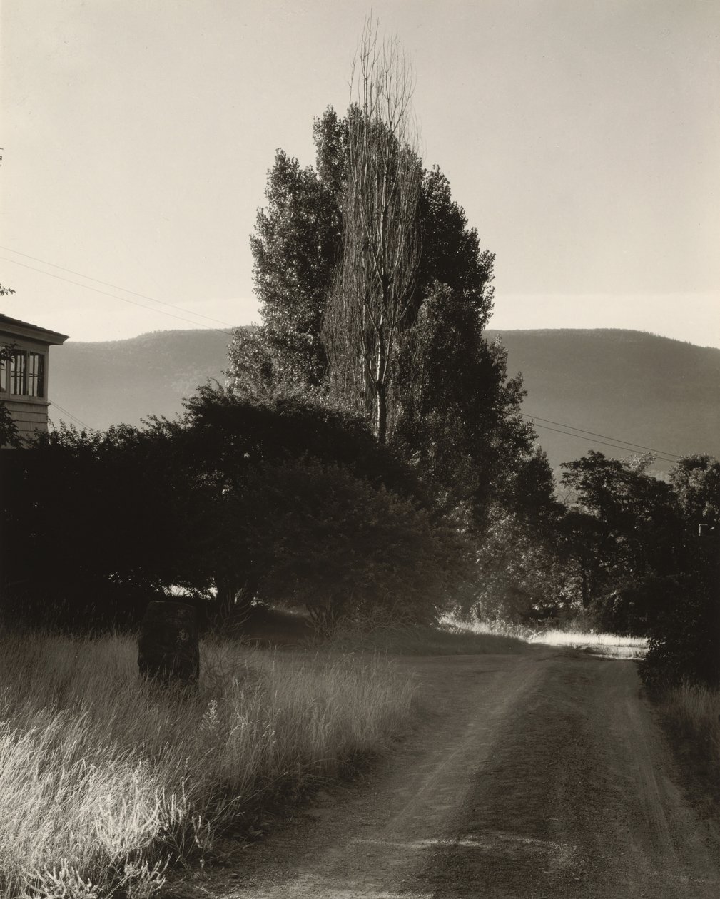 Ház és nyárfák, George-tó alkotó: Alfred Stieglitz