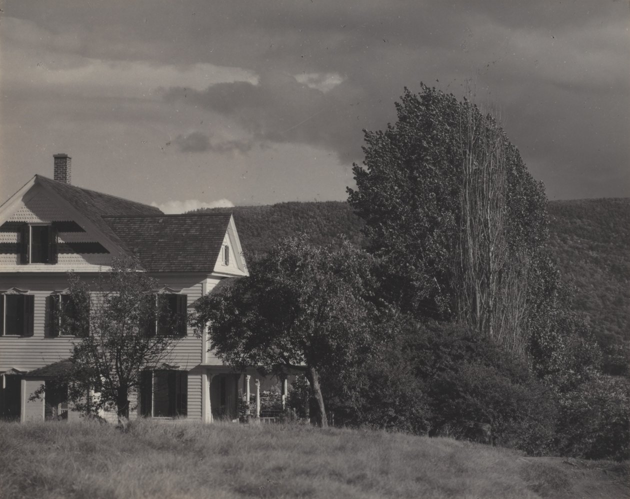 Ház és nyárfák, Lake George alkotó: Alfred Stieglitz