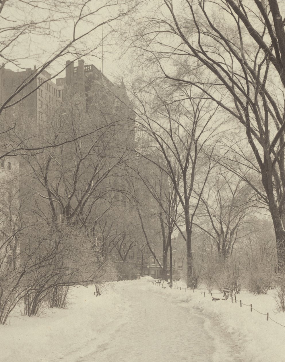 A parkban alkotó: Alfred Stieglitz