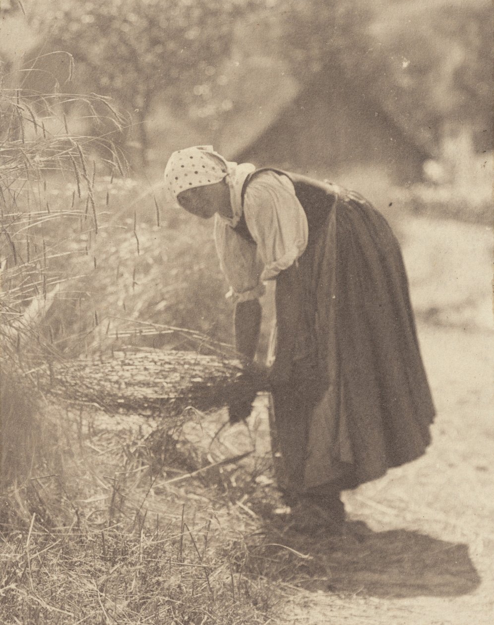 Megszakítva alkotó: Alfred Stieglitz