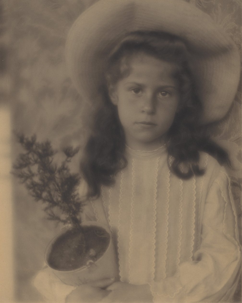 Kitty – Virágcserép alkotó: Alfred Stieglitz
