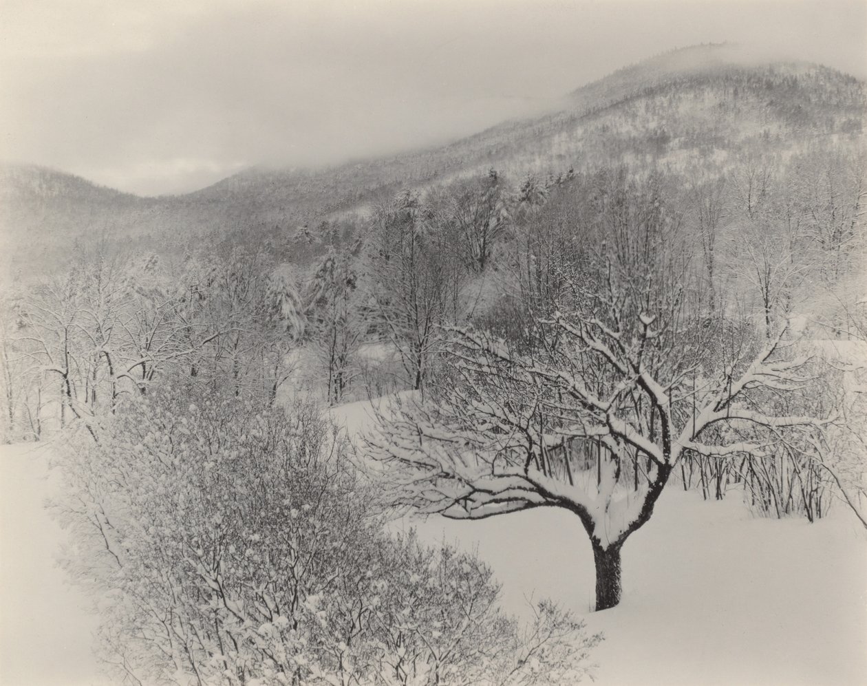 Lake George alkotó: Alfred Stieglitz