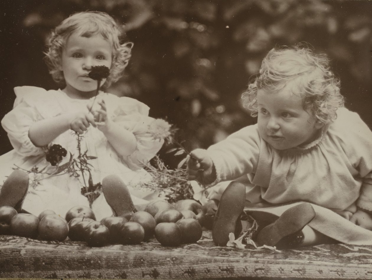 Unokahúgok - Flóra virágot tart, és Hedvig, c. 1896. alkotó: Alfred Stieglitz