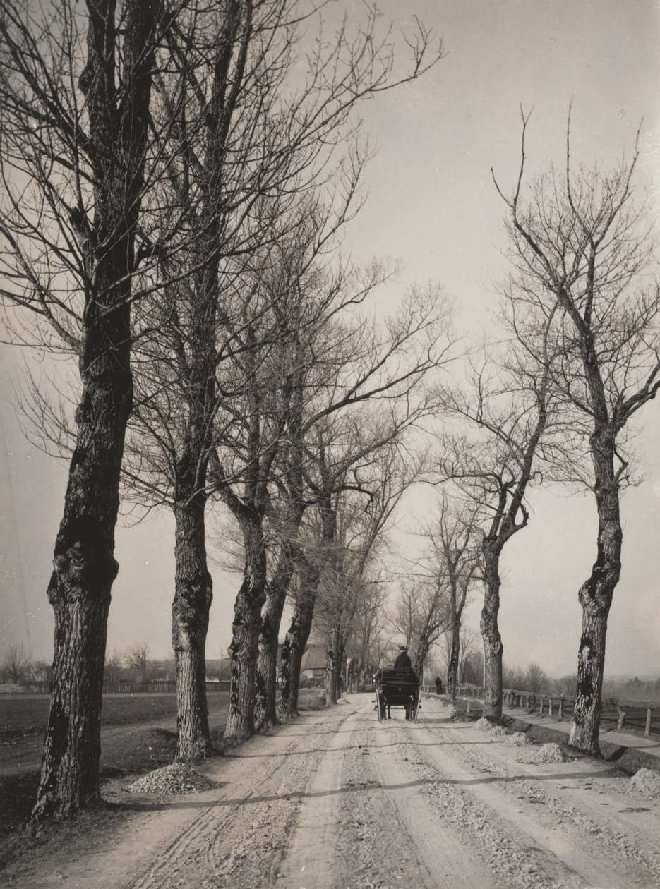 Novemberi napok alkotó: Alfred Stieglitz