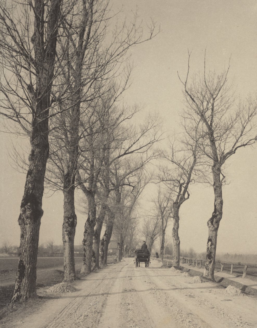 Novemberi napok alkotó: Alfred Stieglitz