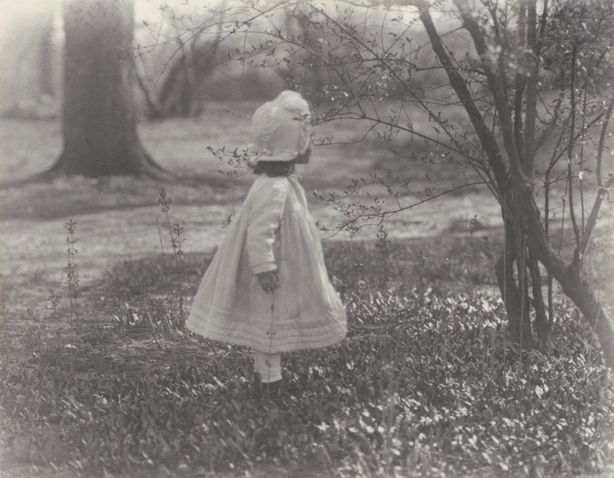 Tavasz alkotó: Alfred Stieglitz