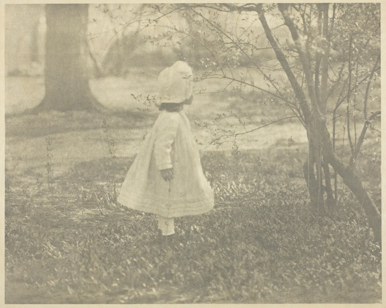 Tavasz – A gyermek alkotó: Alfred Stieglitz