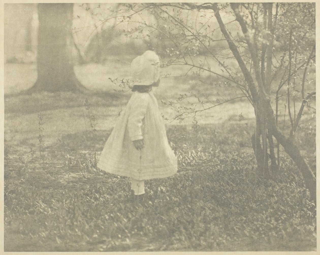 Tavasz – A gyermek, 1901. alkotó: Alfred Stieglitz