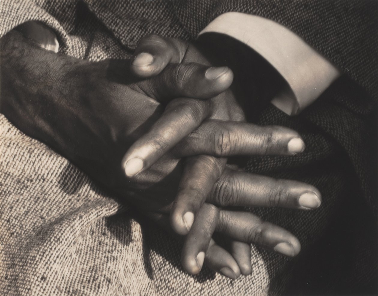 A Béke Ura alkotó: Alfred Stieglitz