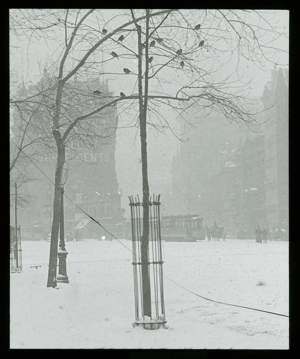 Fa hóban, New York City alkotó: Alfred Stieglitz
