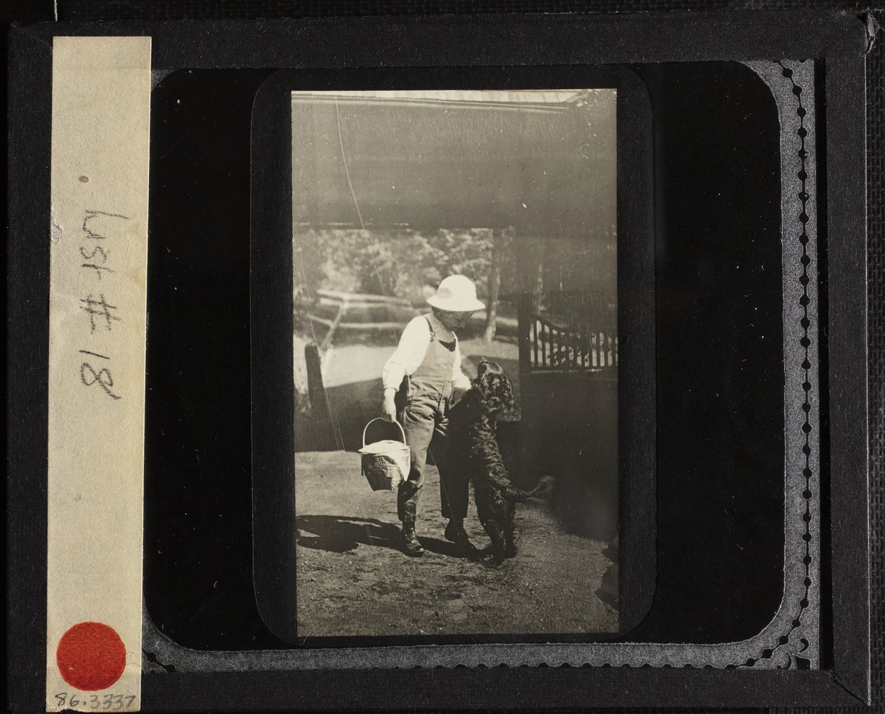 Untitled Elizabeth unokahúga Inkyvel Oaklawnban, c. 1903. alkotó: Alfred Stieglitz
